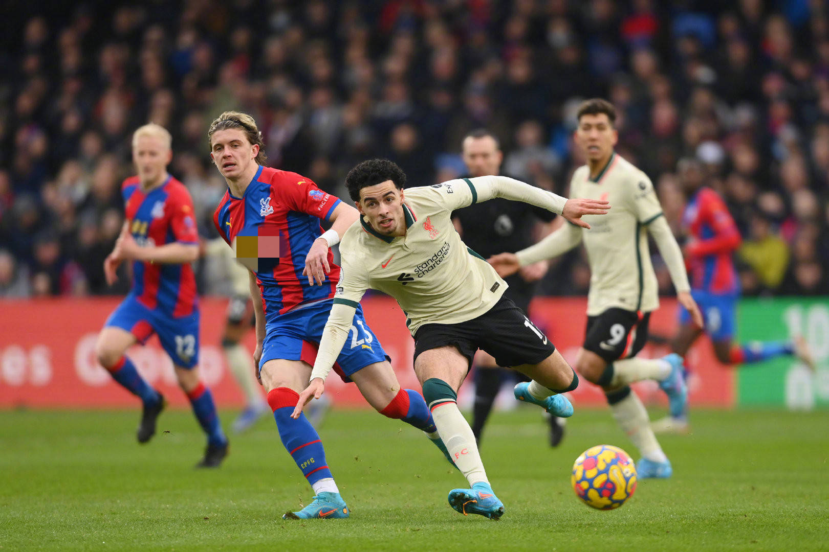 的大龙与远 的大龙与远