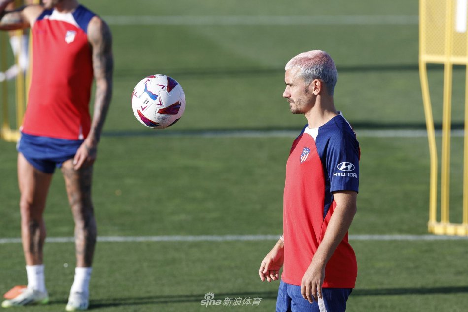 山东泳将们 山东泳将们